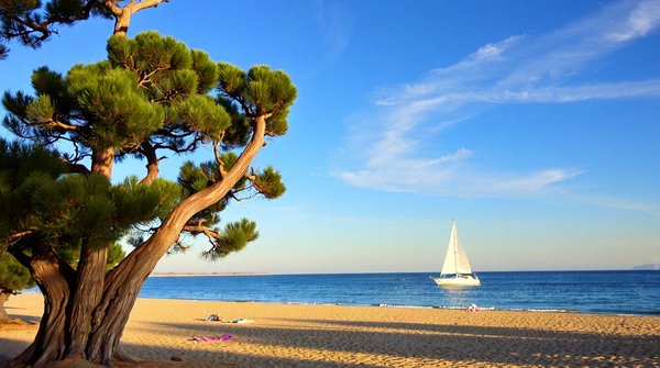 Les 5 locations idéales pour vos vacances à arcachon